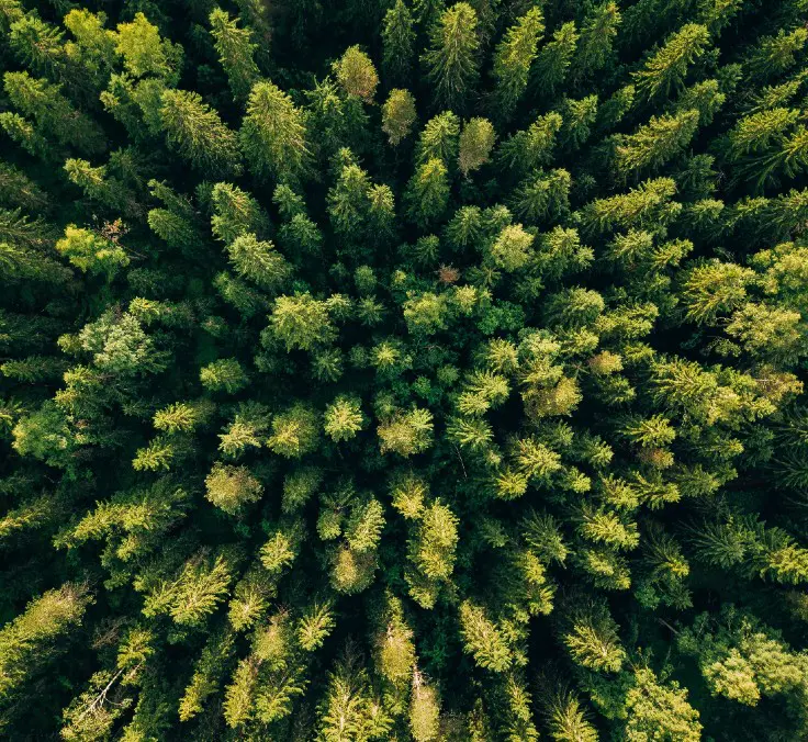 A record year in sustainability