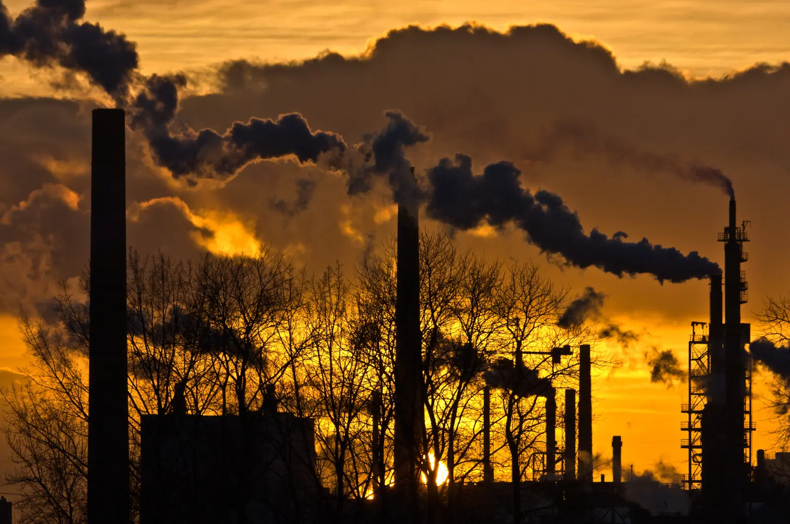 Manuel Toharia: “Raising the alarm isn’t any use, but a warning bell is, so that we can adapt to a reality that is more harmful to us.”