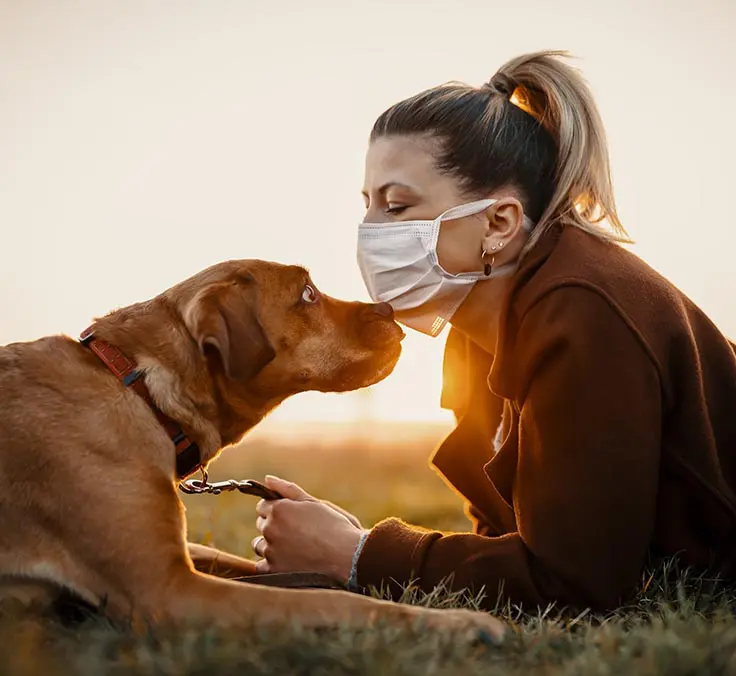 Coronavirus: análisis financiero XVII