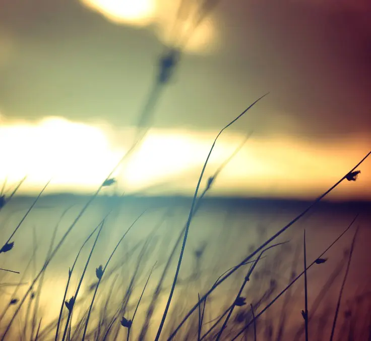 MAPFRE investments: profitable and sustainable