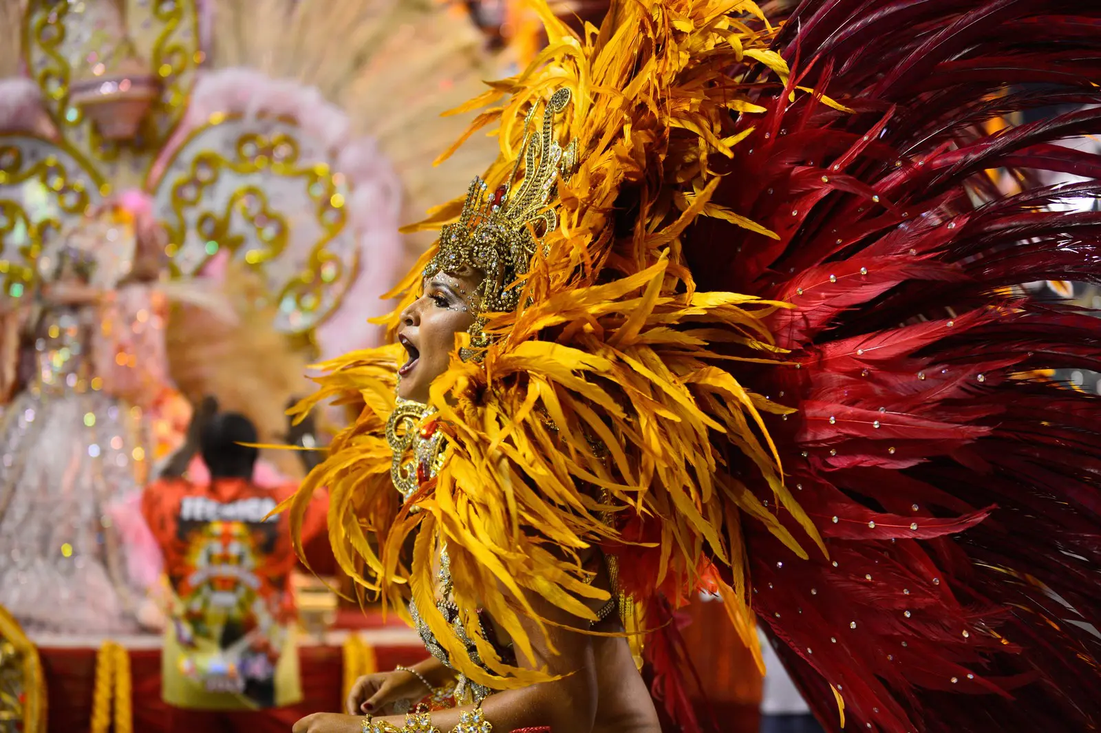 Gestión de los riesgos del Carnaval