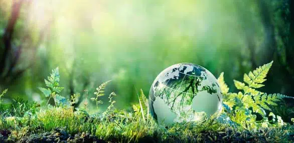 MAPFRE lanza “Multifondos Compromiso ESG MAPFRE lanza “Multifondos Compromiso ESG