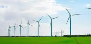MAPFRE se une a la Net Zero Asset Owner Alliance MAPFRE se une a la Net Zero Asset Owner Alliance
