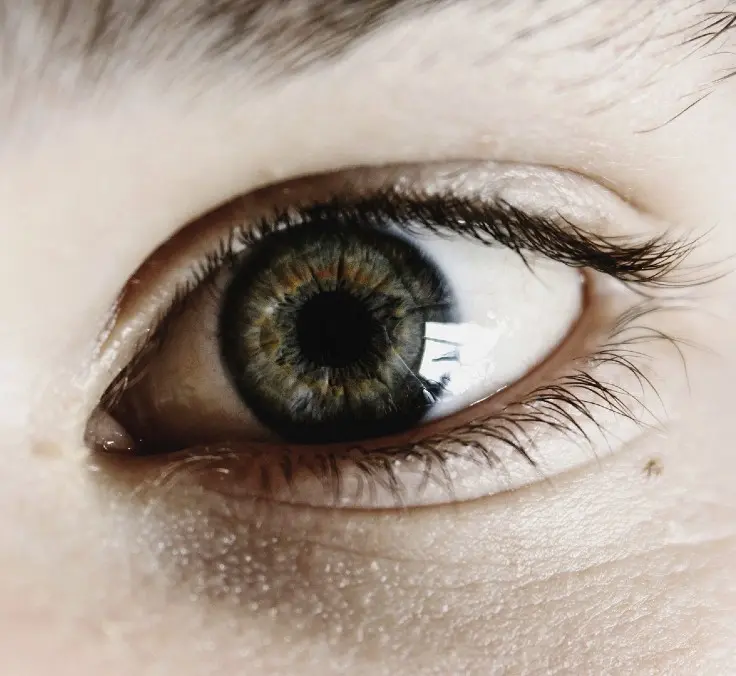 “We face extinction if we don’t end inequalities”